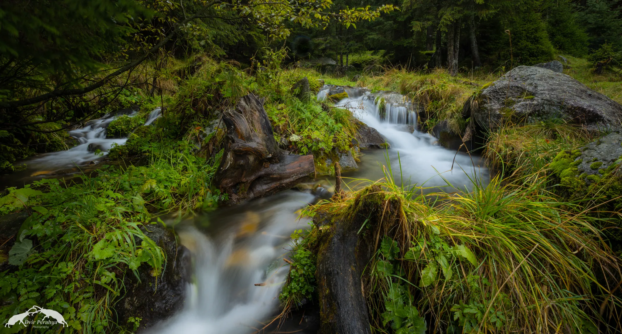 Tel Dor beach at sunset
